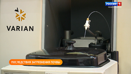 Полезная передача: изучаем ПДД, учим иностранный язык, развлекаемся на осенних каникулах