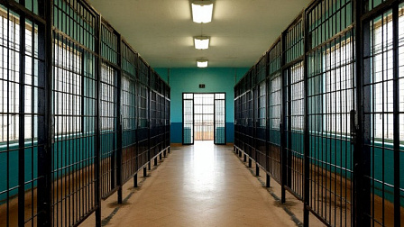 Новосибирца отправили в колонию за избиение родных и убийство собак