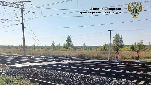 В Новосибирской области грузовой поезд задавил 84-летнюю бабушку