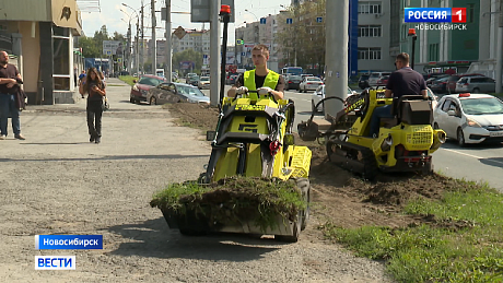 ВЕСТИ Новосибирск