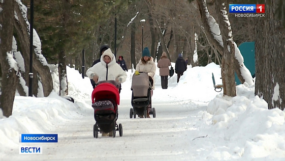 Аномальную оттепель в Новосибирской области уже 11 февраля сменят новые морозы