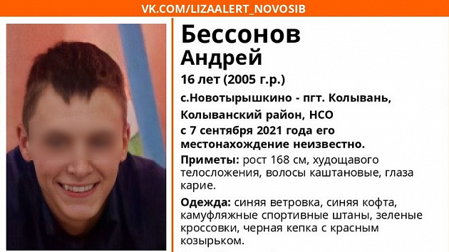 Пропавшего 16-летнего подростка ищут волонтёры и полиция под Новосибирском