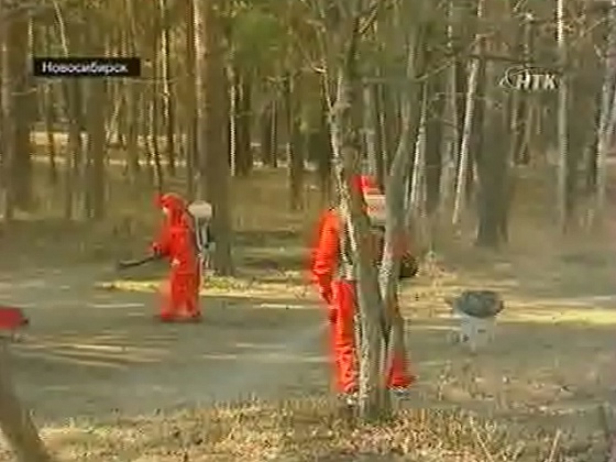 Вести "Здоровье" за 10.05.2012