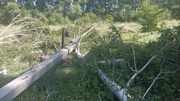 Четыре человека пострадали во время урагана в Новосибирской области