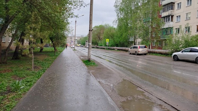 В Новосибирске водитель на электросамокате сбил пятилетнюю девочку и скрылся