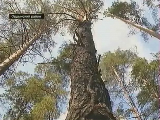 Вести "Эко" за 07.02.2012