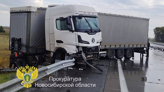 Водителя фуры осудят за троих сбитых насмерть ремонтников под Новосибирском