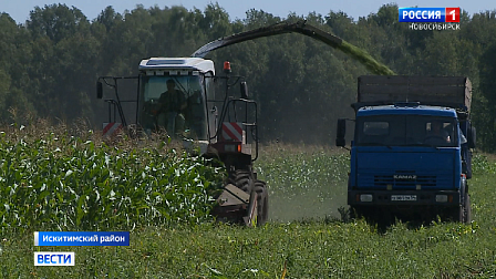 В Новосибирской области идет к завершению заготовка кормов