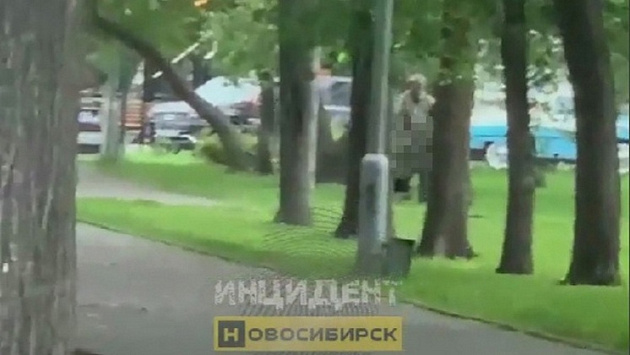 Пожилой рукоблуд возмутил прохожих в Первомайском сквере Новосибирска
