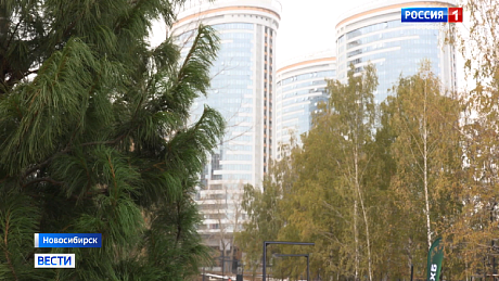 ВЕСТИ Новосибирск