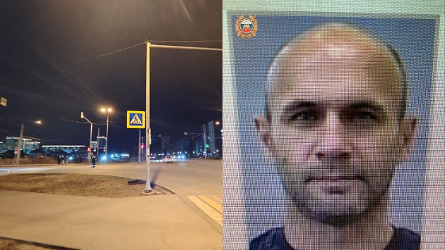 Новосибирские полицейские объявили в розыск сбившего женщину с ребёнком водителя