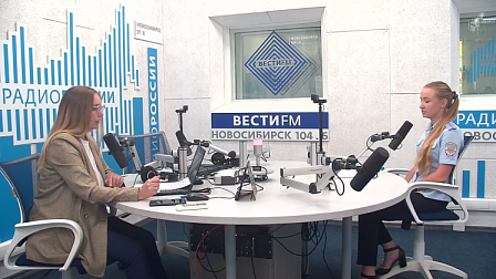 Вектор безопасности: Безопасность пешеходов