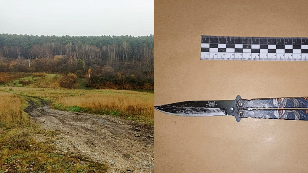 Новосибирец зарезал возлюбленную и замаскировал под безвестное исчезновение