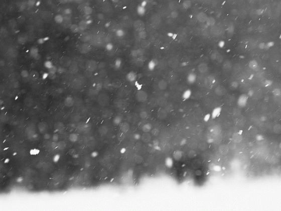 Погода в Новосибирске: ледяной дождь, гололед и порывистый ветер 