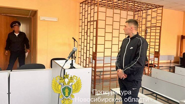Новосибирца отправили в колонию строгого режима за повторную езду пьяным