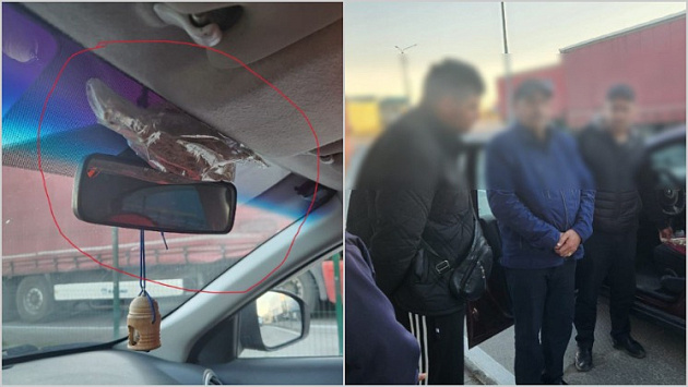 Иностранец попытался вывезти из Новосибирской области наркотическое растение