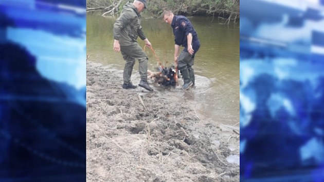 В Новосибирской области пьяный пастух убил своего коллегу палкой и выбросил тело в реку