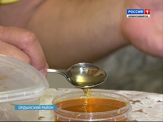 Как не ошибиться в выборе меда?