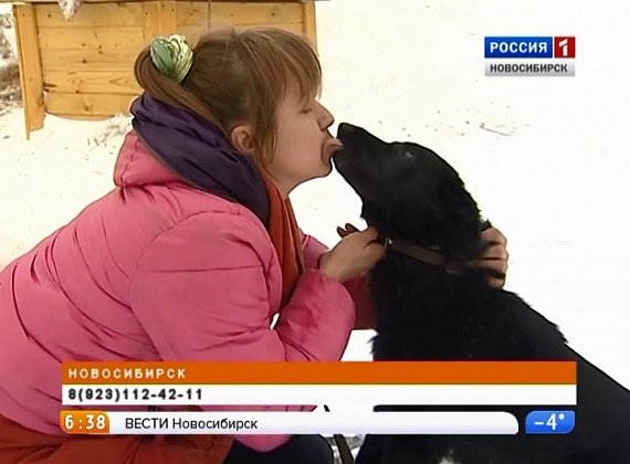 Рубрика "Ищу хозяина": собака по кличке Мышка