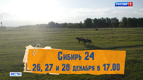 ВЕСТИ Новосибирск