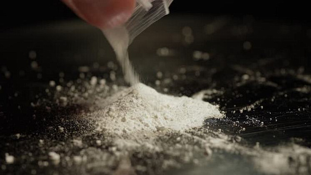 Новосибирец ответит перед судом за контрабанду наркотических прекурсоров