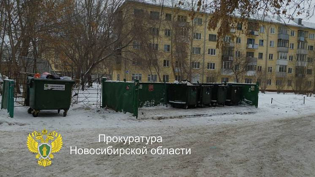 Крысы оккупировали мусорные контейнеры на улице Выставочной в Новосибирске
