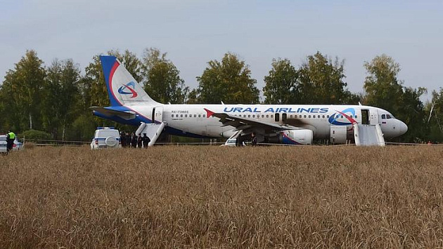 Пассажирам экстренно севшего самолета в новосибирском поле выплатили компенсацию