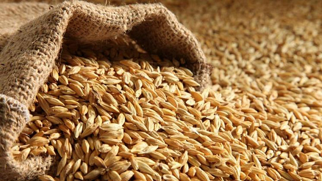 Из Новосибирской области экспортировали более 5 тысяч тонн зерна в новогодние праздники