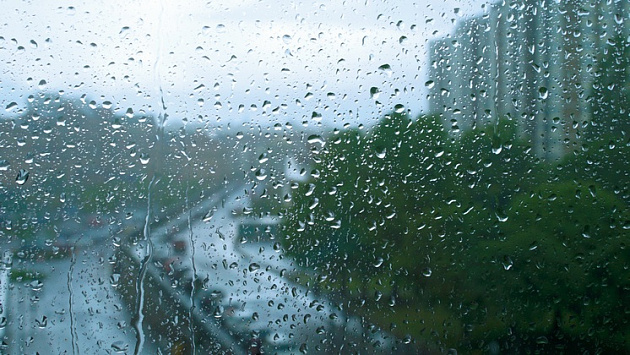 В Новосибирской области с 31 марта по 4 апреля будет тепло и мокро