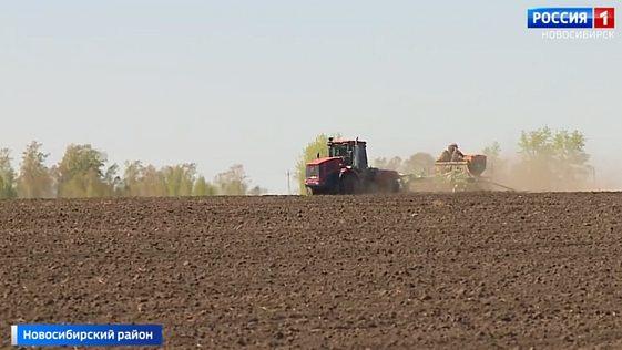 Новосибирские аграрии оказались под угрозой режима ЧС из-за сильных дождей