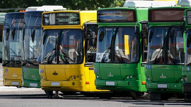 Правительство региона закупит 150 автобусов для Новосибирска в преддверии чемпионатов