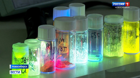 ВЕСТИ Новосибирск