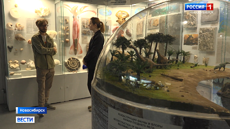 ВЕСТИ Новосибирск