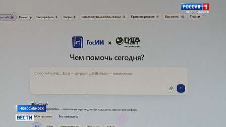 Цифровые помощники появились у новосибирских госслужащих