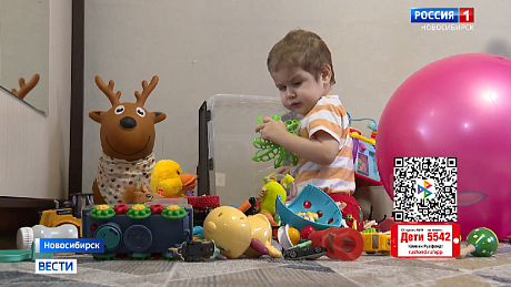 ВЕСТИ Новосибирск