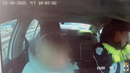 В Новосибирске пьяная женщина угнала автомобиль и попала в аварию