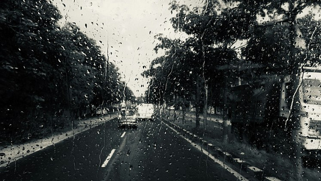 Тепло и дождливо: синоптики выдали прогноз на конец лета в Новосибирской области