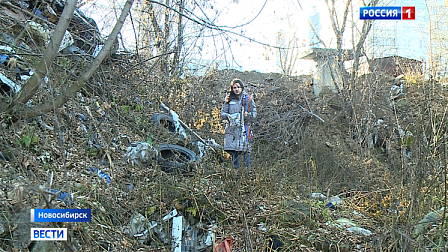 Тонны мусора попытались спрятать на берегу живописного озера в Новосибирске