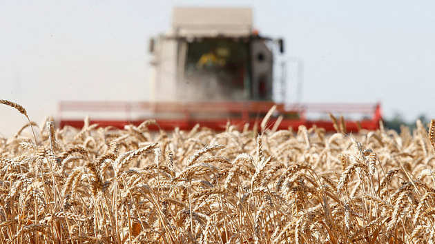 Новосибирским производителям зерновых культур дополнительно выделят 161,5 миллион рублей