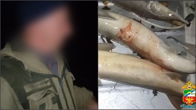 Томского браконьера задержали за незаконный вылов стерляди в Новосибирске