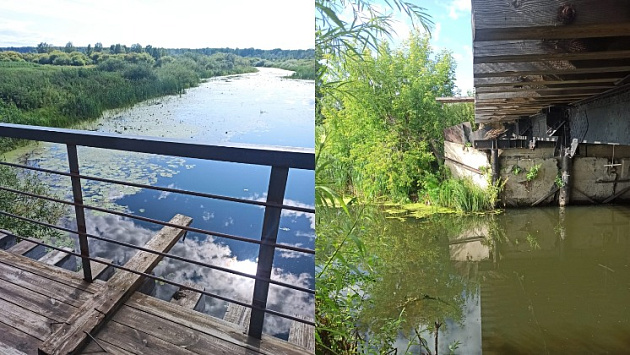 Жительница Новосибирской области заставила спрыгнуть с моста и утопила знакомую