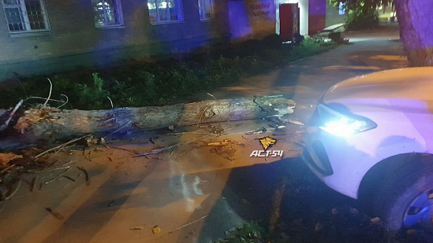 В Новосибирске автомобилист влетел в дерево в Дзержинском районе 