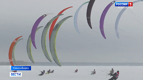 ВЕСТИ Новосибирск