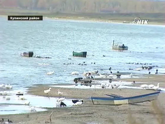 Вести "Эко" за 13.11.2012