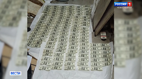 ВЕСТИ Новосибирск