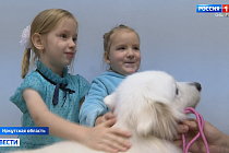 Собаки-терапевты помогают особенным детям в Иркутской области