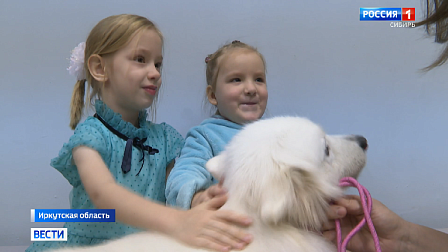 Собаки-терапевты помогают особенным детям в Иркутской области