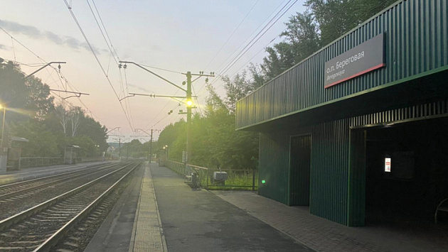 Под Новосибирском поезд сбил перебегавшую железнодорожные пути 74-летнюю бабушку 