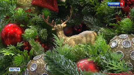 ВЕСТИ Новосибирск