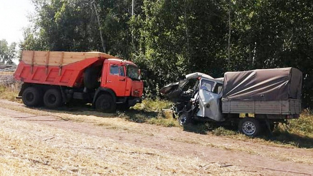 В Новосибирской области водитель УАЗа погиб в лобовом столкновении с КамАЗом 